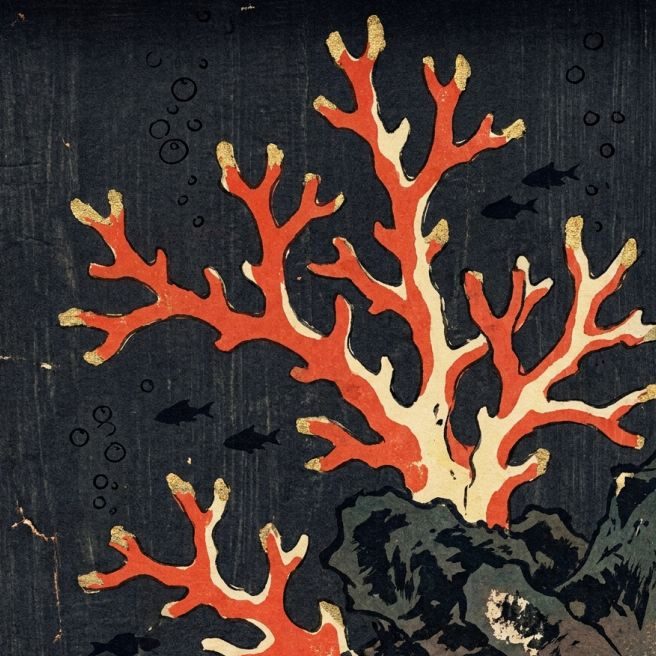 Corals