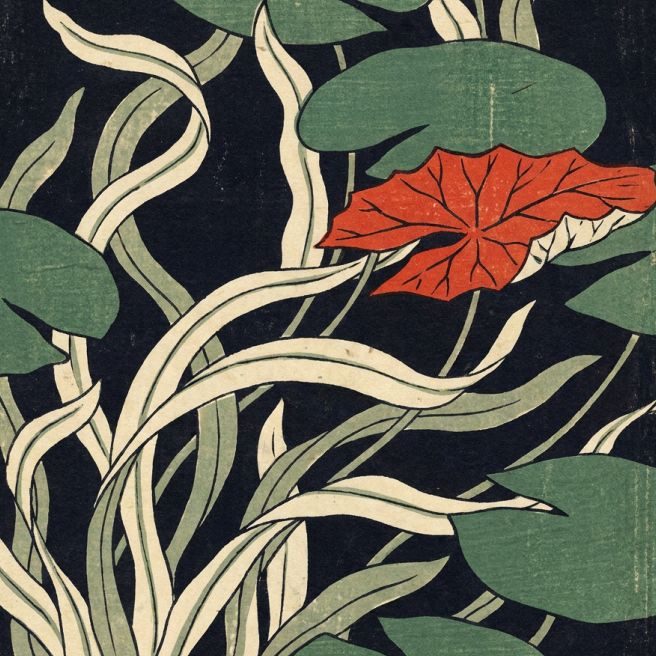 Aquatic plants